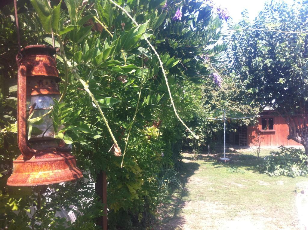 Santa Maria Apartment Donji Kovilj Экстерьер фото
